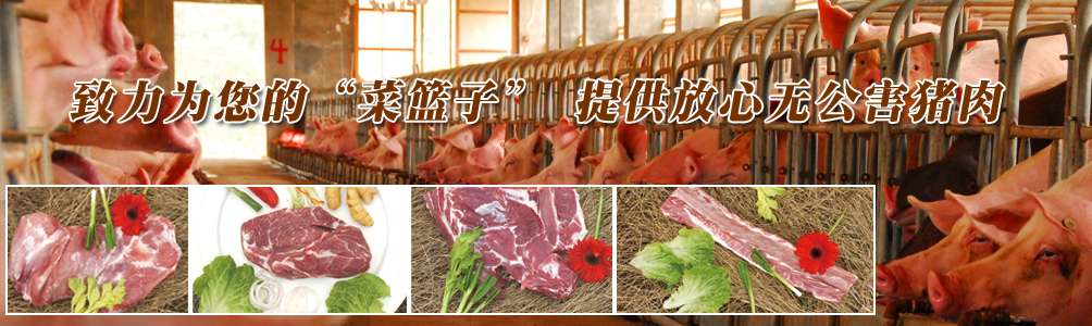 公司簡介